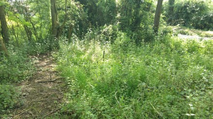 IMG_20170524_151121007_HDR